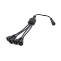 Rock Light / Whip: Splitter - image 1