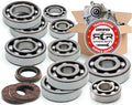 Transmission Rebuild - 2022-2024 PRO R