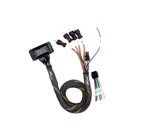 '20-'26 RZR® Pro Series Ride Command Front & Rear RCA Output + Speaker Wire & Remote | UTVS-PRO-RC-RCA-OUT